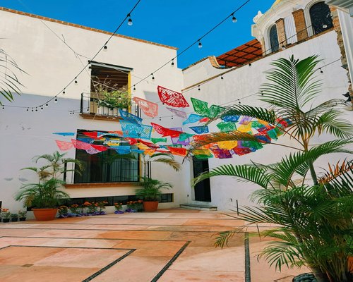 A person enjoying a cup of coffee away from screens in a cozy Mexican courtyard